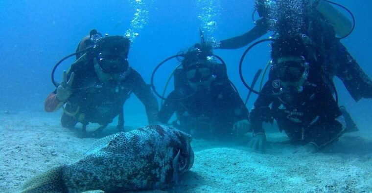 koh-chang-discover-scuba-diving-for-beginners-with-2-dives