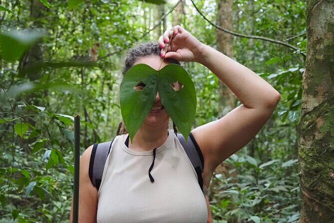 Koh Chang Family and Beginner Jungle Trek with Hotel Pickup - An In-Depth Look at the Jungle Trek Experience