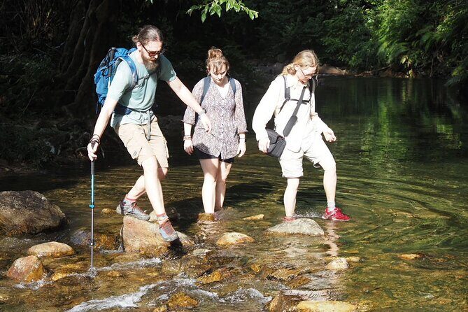Koh Chang Family and Beginner Jungle Trek with Hotel Pickup - Who Should Consider This Tour?