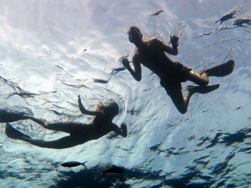 koh-chang-full-day-reefs-or-wreck-sites-snorkeling-trip