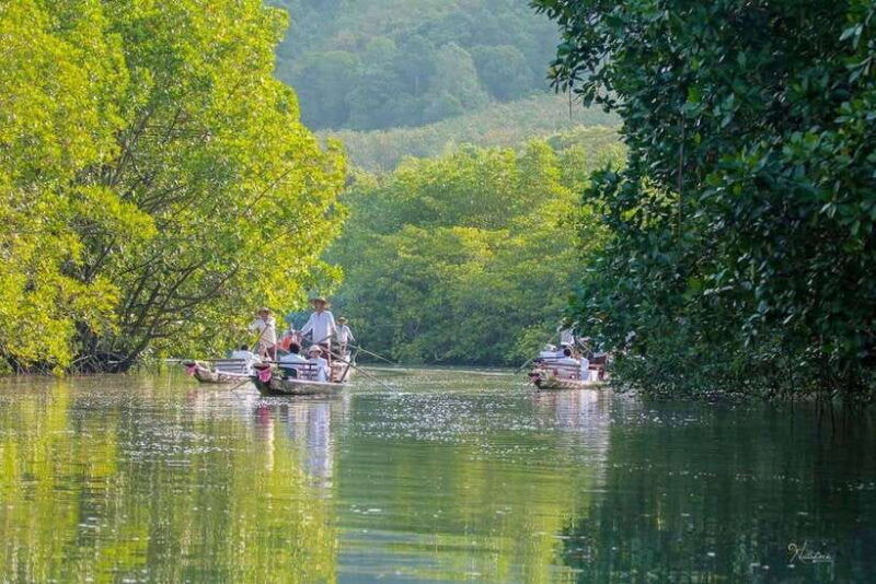 koh-chang-mangrove-forest-gondola-tour