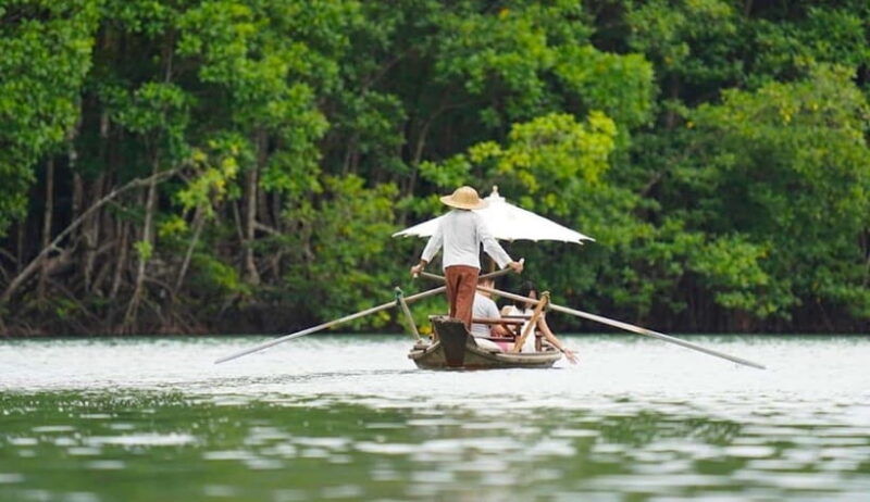 koh-chang-mangrove-forest-gondola-tour