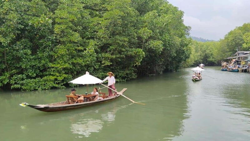 koh-chang-mangrove-forest-gondola-tour