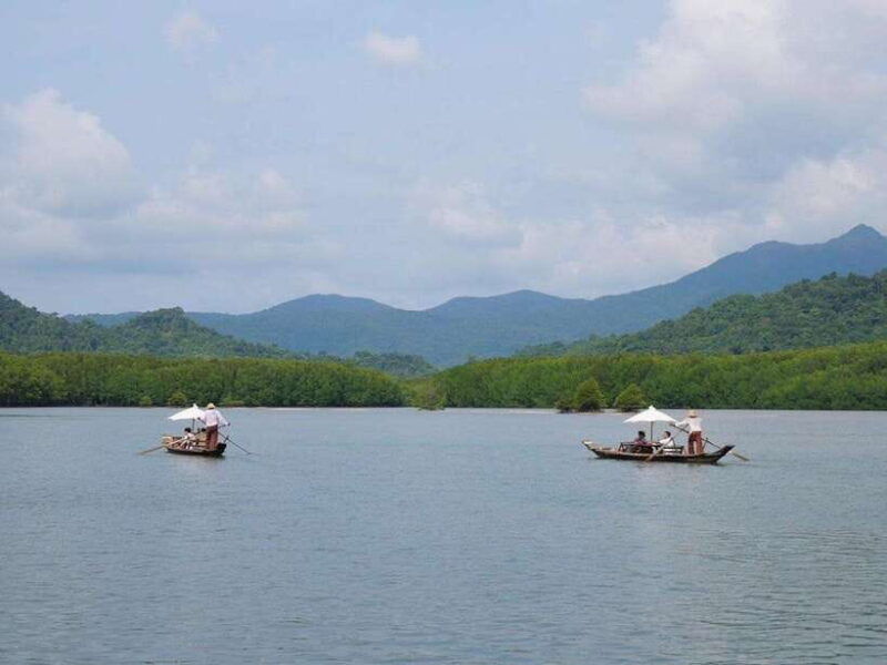 koh-chang-mangrove-forest-gondola-tour