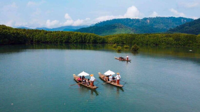 koh-chang-mangrove-forest-gondola-tour