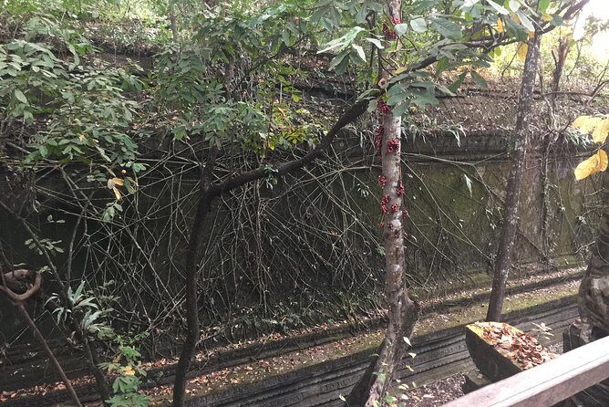 Koh Ker and Beng Mealea full day exploration by Jion-in Tour - What Past Travelers Say (Based on Reviews)