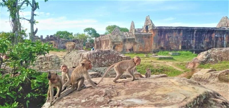 Koh Ker & Beng Mealea Temple Full-Day Tour from Siem Reap - The Sum Up: Who Will Love This Tour?