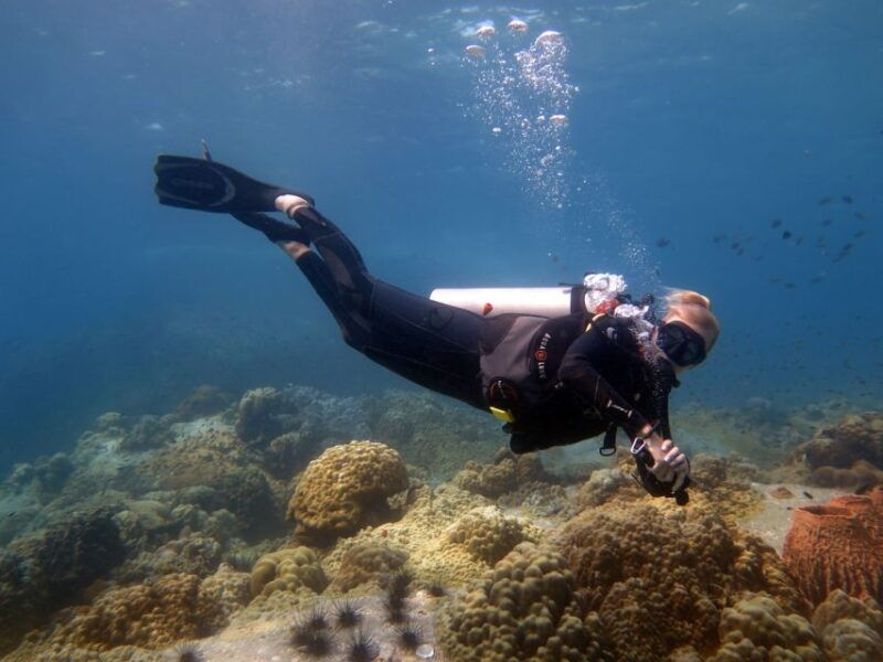 koh-kood-3-day-padi-open-water-scuba-diving-course