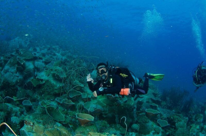koh-kood-3-day-padi-open-water-scuba-diving-course