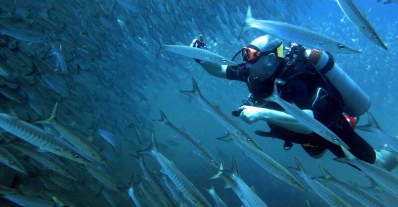 koh-kood-discover-scuba-diving-for-beginners-with-2-dives