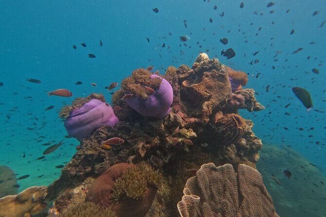 Koh Kood Snorkeling Speedboat Tour with Lunch and Transfer - Detailed Itinerary Breakdown