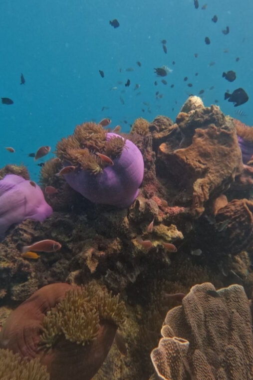 koh-kood-snorkeling-speedboat-tour-with-lunch-and-transfer