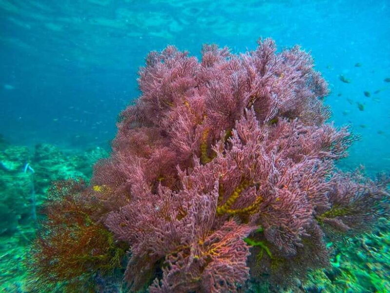 Koh Lanta: 4 Islands and Emerald Cave Snorkeling Trip - Relaxing on Koh Kradan