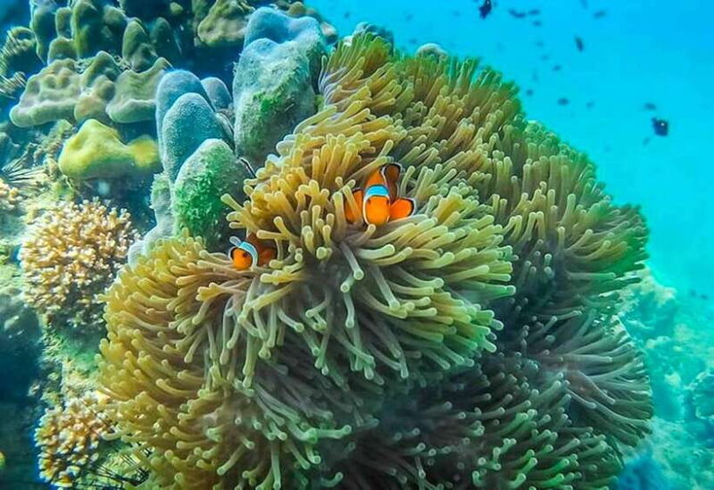 Koh Lanta: 4 Islands and Emerald Cave Snorkeling Trip - Exploring Koh Chuek (Rope Island)