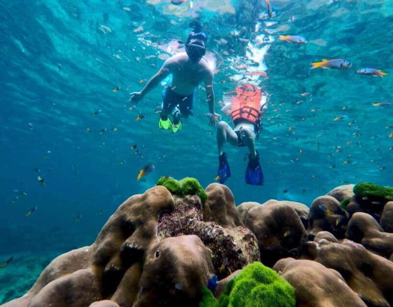 Koh Lanta: 4 Islands, Emerald Cave & Koh Kradan by Speedboat - Authentic Insights from Reviews