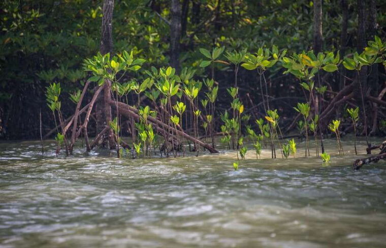 koh-lanta-half-day-sea-cave-kayaking-talabeng