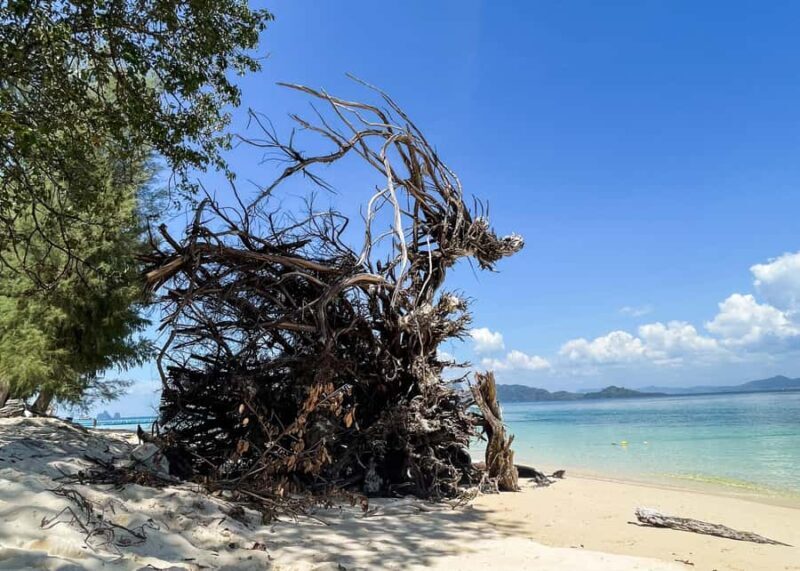 Koh Lanta: Koh Kradan 4 Islands Tour with Lunch & Snorkel - Final Verdict