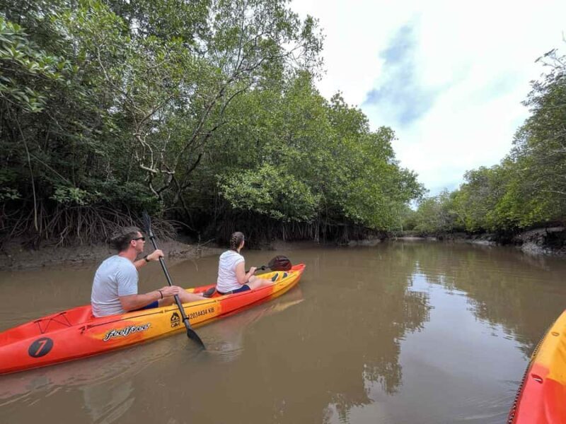 Koh Lanta: Mangrove Kayaking Tour with Hotel Pickup & Lunch - Pricing & Value
