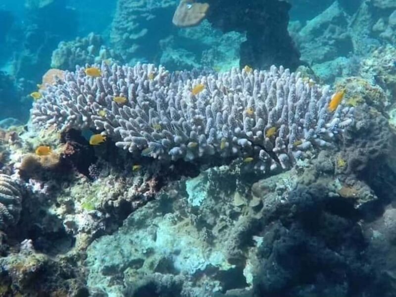 Koh Lanta: Options of Old Town, Mangrove, Kayaking or Island - Final Thoughts