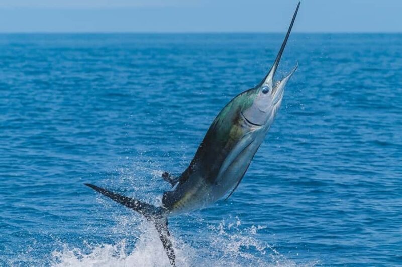 Koh Lanta Private Night Fishing Experience on Longtail Boat - Key Points