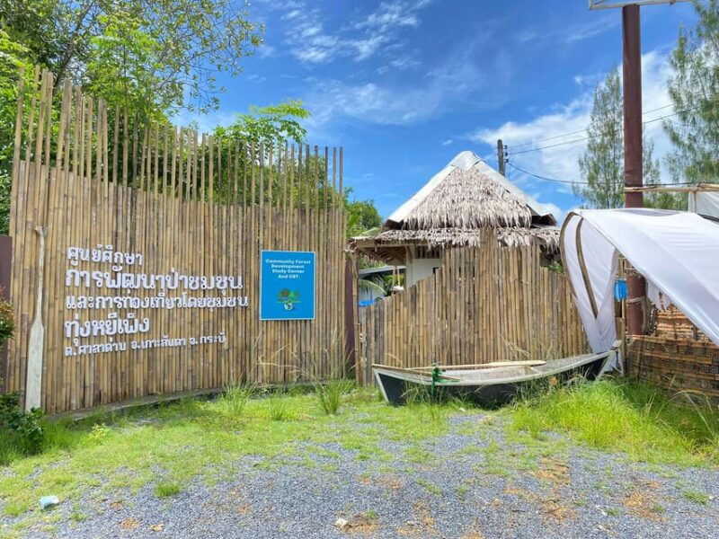 koh-lantamangrove-elephant-camp-half-day-tour