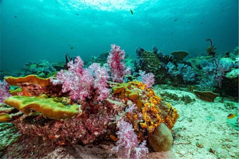 Koh Lipe: 3-Day Open Water Certification Course in Paradise - FAQ