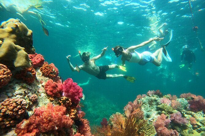 Koh Lipe 4 Islands Snorkeling and Sunset by Longtail Boat - Key Points