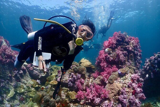 Koh Lipe Beginner Scuba Diving Half Day Tour with Lunch - Meeting Point and Transport