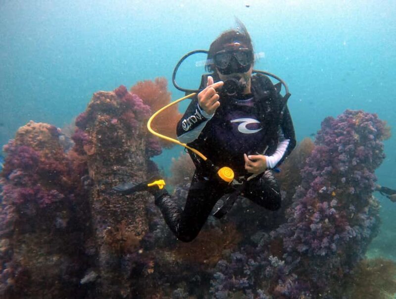 Koh Lipe: Discover SCUBA Diving - Half Day Tour - 1 Dive - What to Expect Underwater