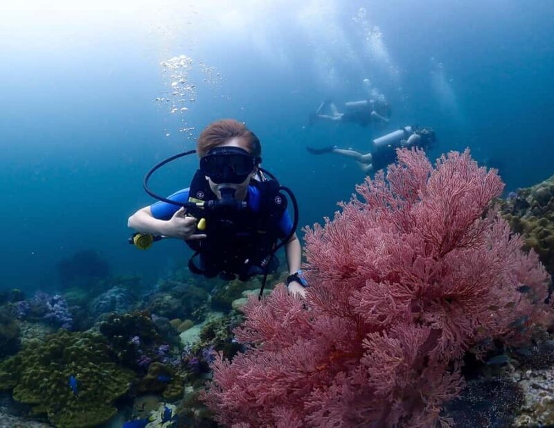Koh Lipe: Discover SCUBA Diving - Half Day Tour - 1 Dive - Who Will Love This Tour?