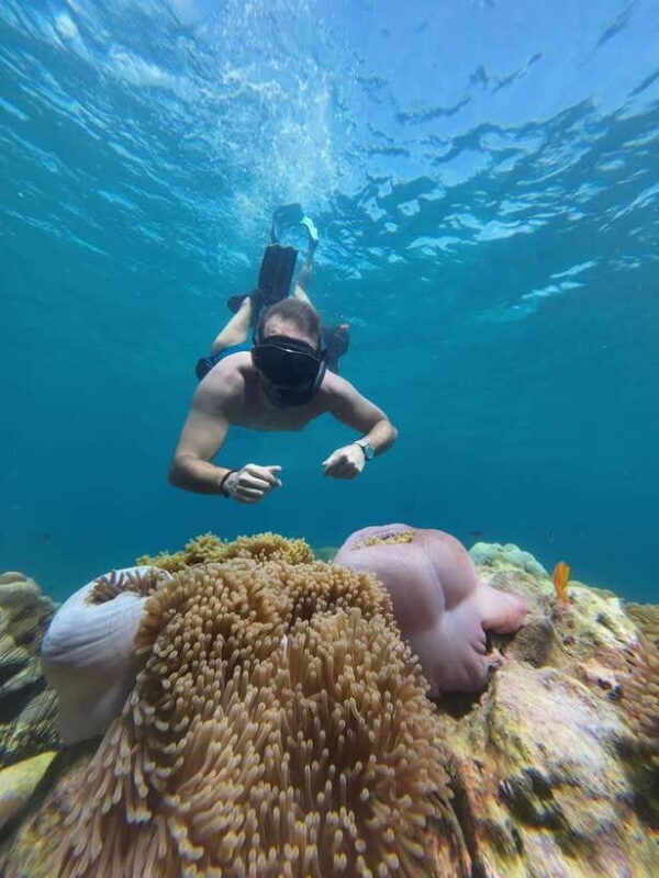 Koh Lipe: Half-Day Snorkeling (Morning/Afternoon/Sunset) - Why This Tour Works for Different Travelers