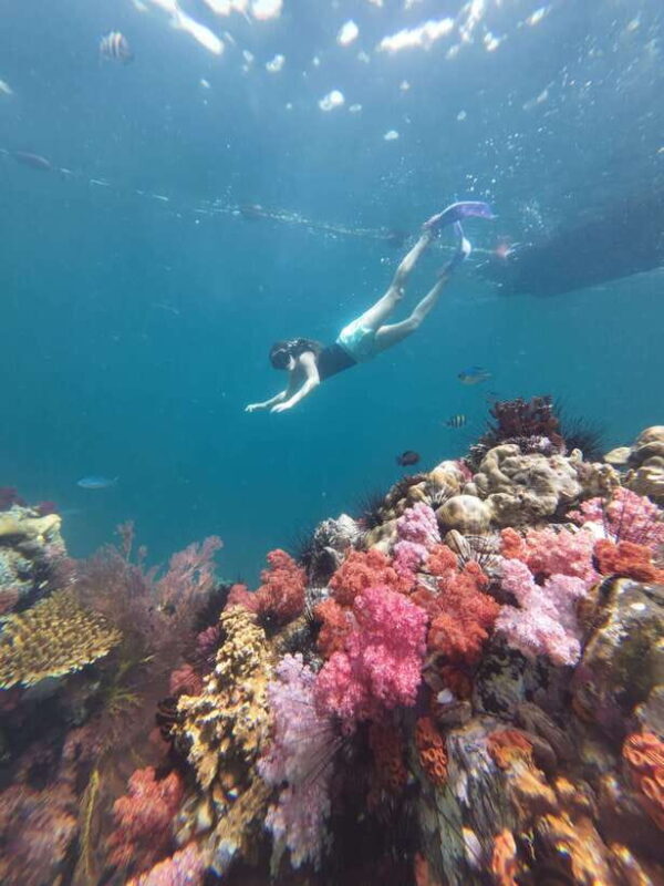 Koh Lipe: Half-Day Snorkeling (Morning/Afternoon/Sunset) - Frequently Asked Questions