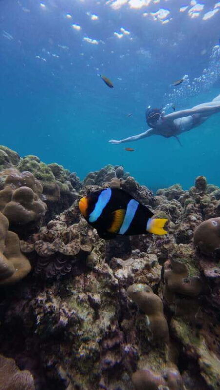 koh-lipe-half-day-snorkelling-trip-to-4-islands-5-points