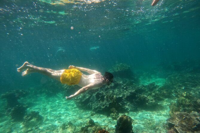 Koh Lipe Inside Outside Snorkel Tour by Private Longtail Boat - Introduction
