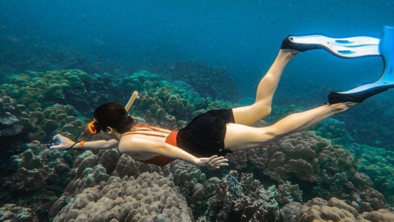 Koh Lipe: Longtail Boat Snorkeling Trip Program A - Key Points
