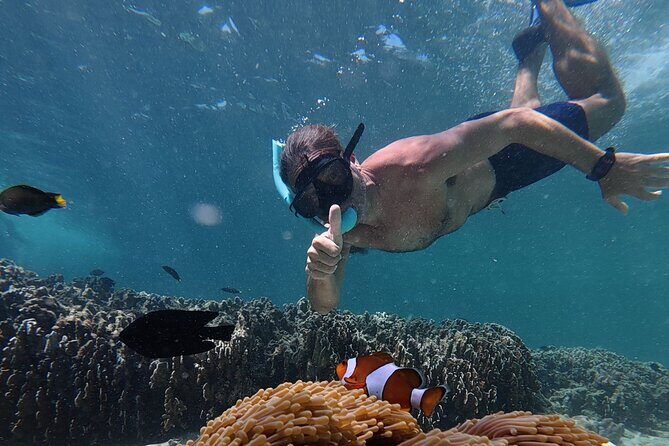 Koh Lipe Morning Snorkeling Trip 4 Islands, 5 Spots - Key Points