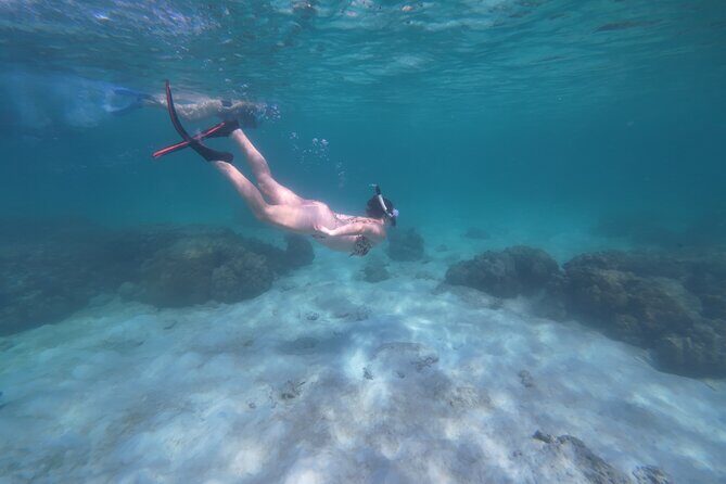 Koh Lipe Morning Snorkeling Trip 4 Islands, 5 Spots - Who Should Book This Tour?