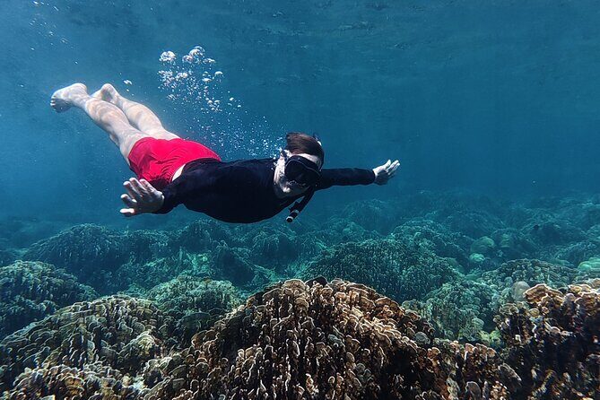 Koh Lipe Morning Snorkeling Trip 4 Islands, 5 Spots - Final Thoughts