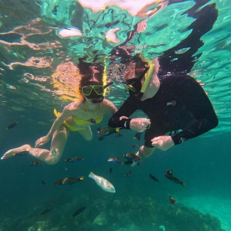 Koh Lipe: Private Snorkeling & Islands Hopping with Lunch - Key Points