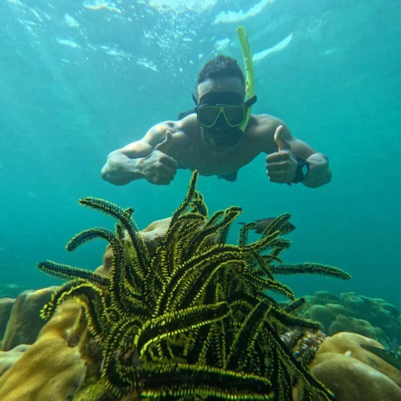 Koh Lipe: Private Snorkeling & Islands Hopping with Lunch - A Detailed Look at the Tour Experience