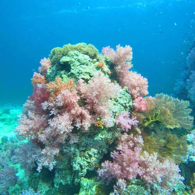 Koh Lipe: Private Snorkeling & Islands Hopping with Lunch - FAQ