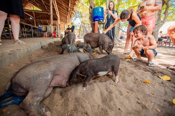 Koh Madsum and Koh Tan Snorkeling Trip By Speedboat From Koh Samui - Authentic Traveler Insights