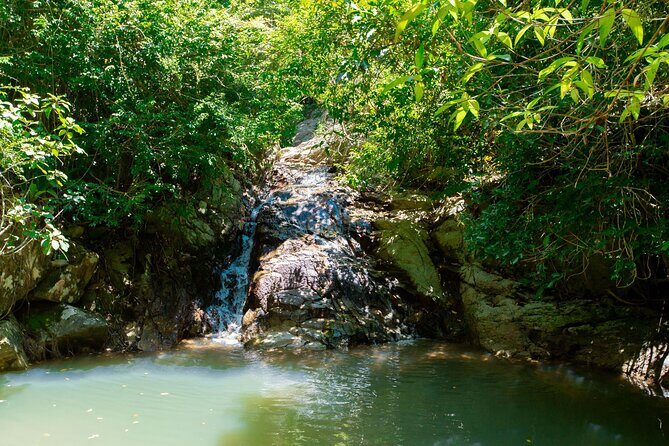 Koh Phangan ATV Off-Road Ride through Nature - What About Flexibility and Cancellations?