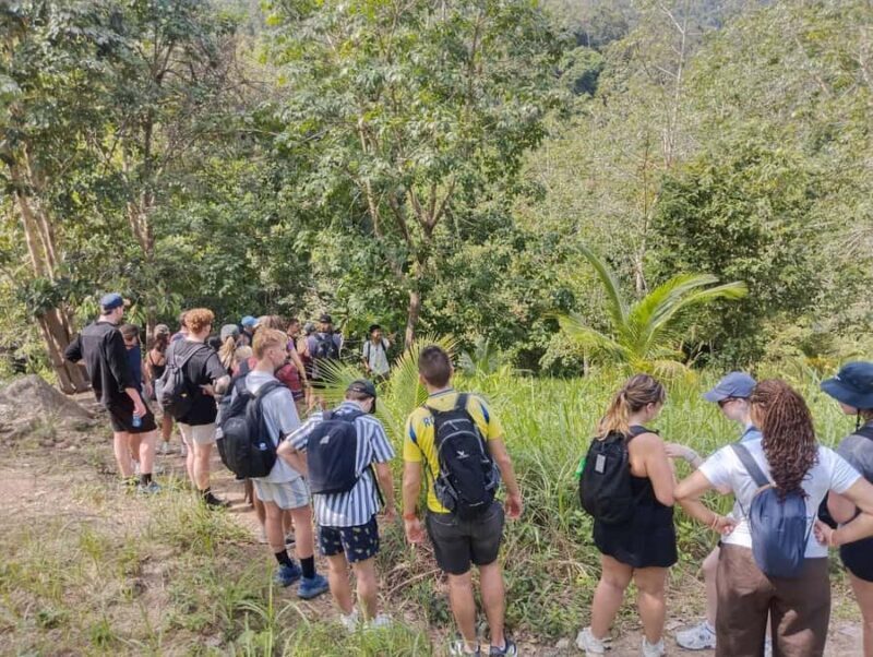 Koh Phangan: Hidden Jungle Trekking & Waterfall Adventure - Exploring Koh Phangan: The Hidden Jungle Trekking & Waterfall Adventure