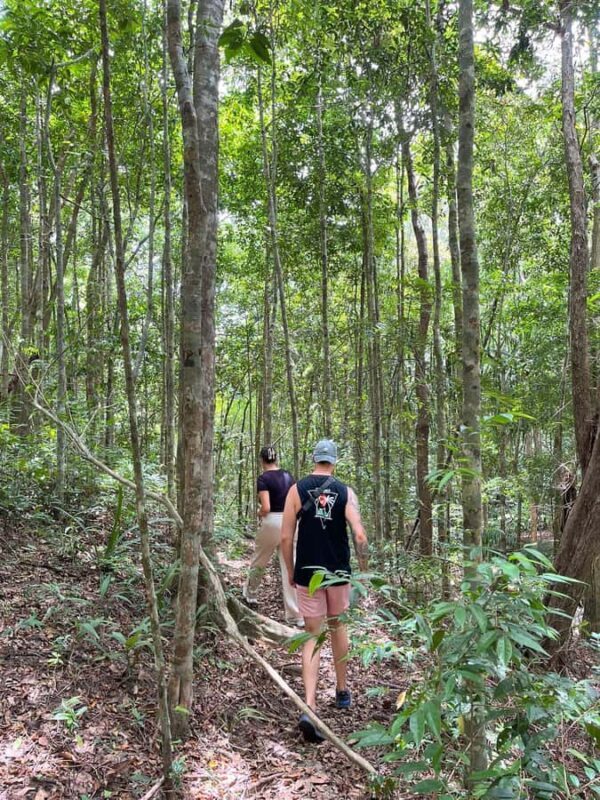 Koh Phangan: Hidden Jungle Trekking & Waterfall Adventure - Who Is This Tour Best For?