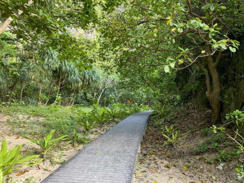 Koh Phi Phi: Early Morning Maya Bay, Bamboo Speedboat Tour - The Sum Up