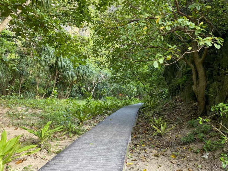 Koh Phi Phi: Halfday Maya Bay Sunset & Plankton by Speedboat - FAQ