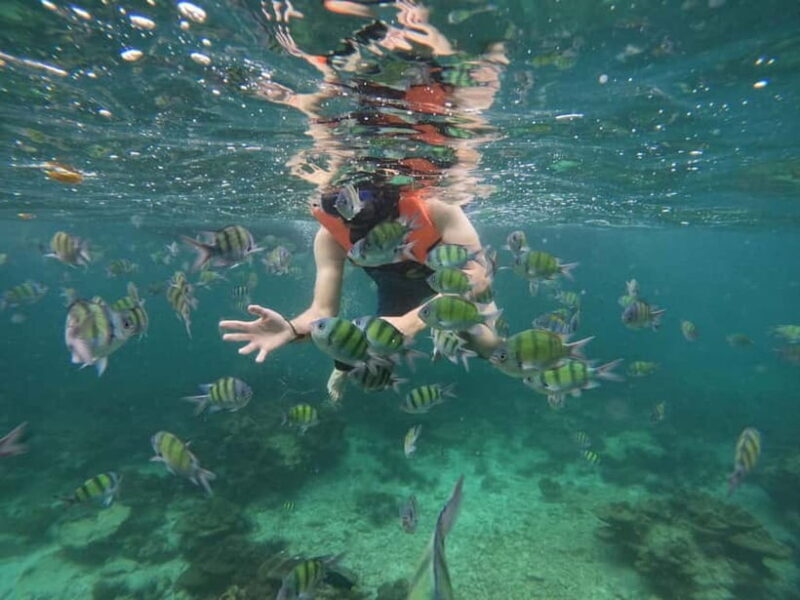 Koh Phi Phi: Halfday Sunset Bamboo & Nui Bay Speedboat Tour - Exploring the Koh Phi Phi Halfday Sunset Bamboo & Nui Bay Speedboat Tour