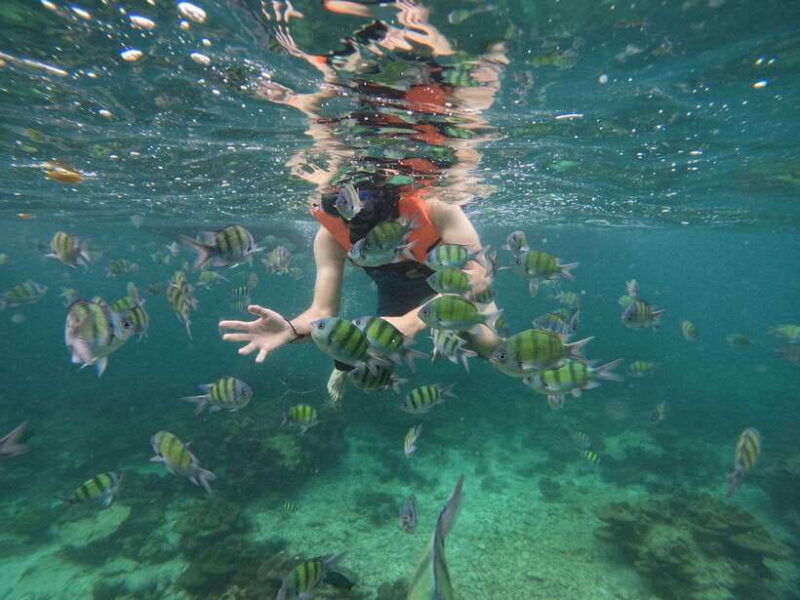 koh-phi-phi-maya-bay-bamboo-sunrise-sunset-speedboat-tour