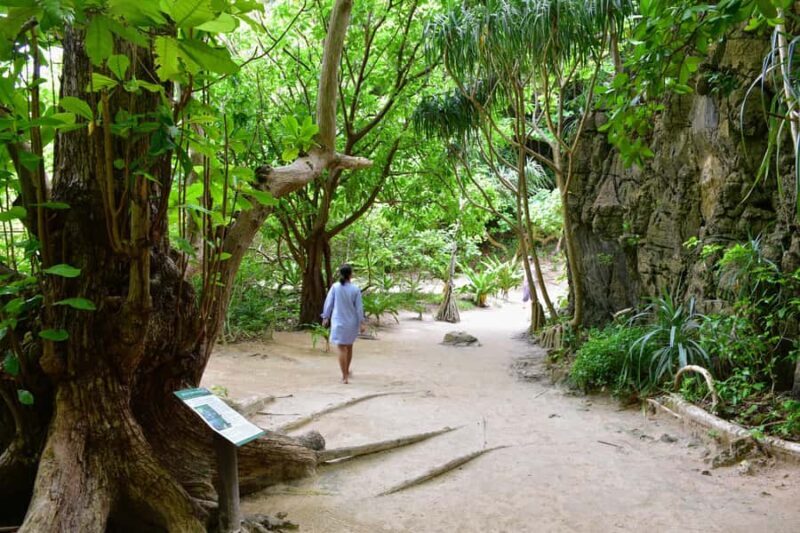 Koh Phi Phi: The Privateer's Half-Day Coves & Lagoon Quest - Practical Details and Tips